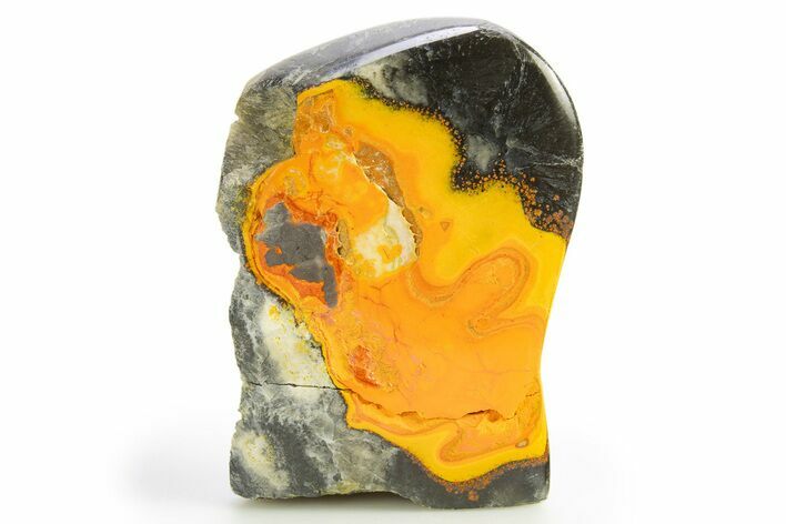 Bargain, Free-Standing Polished Bumblebee Jasper #312078